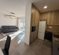 Novostavba rodinný dom Ludanice / REZERVOVANE - Obývacia izba s kuchyňou v rodinnom dome, podlaha s dreveným dekorom, sivá sedačka.