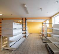 Prenájom haly / obchodno-skladových priestorov – Šenkvice, Nádražná ul - Interiér s regálmi, Sklady a haly, podlaha s dreveným dekorom.