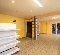 Prenájom haly / obchodno-skladových priestorov – Šenkvice, Nádražná ul - Interiér Sklady a haly s policami a dverami, podlaha s dekorom.