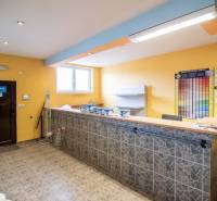 Prenájom haly / obchodno-skladových priestorov – Šenkvice, Nádražná ul - Interiér predajne v skladoch a halách s pultom, poličkami a farebnými vzorkami na stene.