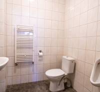 Prenájom haly / obchodno-skladových priestorov – Šenkvice, Nádražná ul - Kúpeľňa v Skladoch a halách s toaletou, pisoárom a radiátorom na stene.