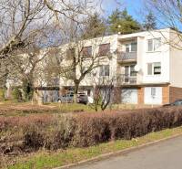 Byt, ktorý dáva zmysel pre rodinu – o 100 000 € lacnejší než dom. - Budova na Hviezdoslavovej ulici v Michalovciach, obklopená stromami a kríkmi.