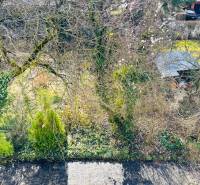 Byt, ktorý dáva zmysel pre rodinu – o 100 000 € lacnejší než dom. - Záhrada s bujnou vegetáciou a malým prístreškom na Hviezdoslavovej ulici v Michalovciach.