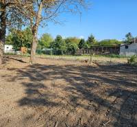 Predáme stavebný pozemok v obci Kajal - 3004m2 - vhodné na 5RD - Záhrada na ulici Stará v Kajali, ideálna na pozemok - bývanie.