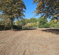 Predáme stavebný pozemok v obci Kajal - 3004m2 - vhodné na 5RD - Pozemky - bývanie na Starej v Kajali, obklopené stromami a prírodou.