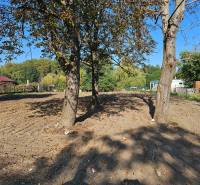 Predáme stavebný pozemok v obci Kajal - 3004m2 - vhodné na 5RD - Záber z ulice Jazerná ukazuje pozemky na bývanie s prírodnou scenériou a stromami.