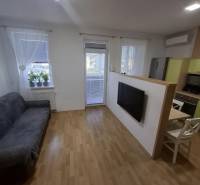Na prenájom klimatizovaný 2 izbový byt v Moste pri Bratislave - Obývacia izba 2-izbového bytu so sedačkou, televíziou, podlahou s dreveným dekorom a balkónom.