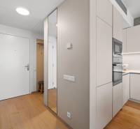 NUERA︱SKY PARK nadštandardný zariadený 2-izbový byt na 15. poschodí - Vstupná hala s podlahou s dreveným dekorom v 2-izbovom byte.