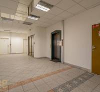 Reprezentatívne administratívne priestory na prenájom  - Kancelárie s výťahom a dlažbou, neutrálne farby a moderné osvetlenie.