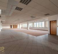 Reprezentatívne administratívne priestory na prenájom  - Priestranné kancelárie s oknami, podlahou s dreveným dekorom a stĺpmi.