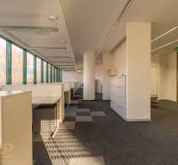 Reprezentatívne administratívne priestory na prenájom  - Svetlé kancelárie s veľkými oknami a kancelárskym nábytkom, podlaha s dreveným dekorom.