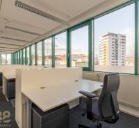 Reprezentatívne administratívne priestory na prenájom  - Priestranné kancelárie s otvorenými boxmi a veľkými oknami pre výhľad na mesto.