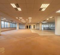 Reprezentatívne administratívne priestory na prenájom  - Široký kancelársky priestor s kobercovou podlahou a stĺpmi, ideálny na využitie.