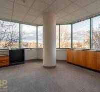 Reprezentatívne administratívne priestory na prenájom  - Priestranné kancelárie s veľkými oknami a výhľadom na mesto, podlaha dlaždicová.