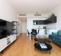 NUERA︱SKY PARK Moderný 2-izbový byt na 6. poschodí, veža 3 - Obývacia izba s kuchyňou v 2-izbovom byte, podlaha s dreveným dekorom, TV a sedacia súprava.
