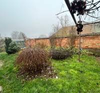 Predaj staršieho RD vo Dvoroch nad Žitavou - Záhrada rodinného domu na Bešeňovskej ulici v Dvoroch nad Žitavou s trávnikom a kríkmi.