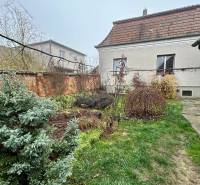 Predaj staršieho RD vo Dvoroch nad Žitavou - Záhrada vedľa rodinného domu na Bešeňovskej ulici v Dvoroch nad Žitavou s trávnikom a krami.