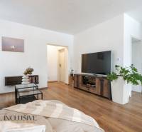 Rezervované 3-izbový byt so záhradou, Šamorín - Interiér 3-izbového bytu s podlahou s dreveným dekorom, pohovkou, TV a rastlinou.