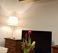 – PRENAJOM – 3 IZBOVÝ BYT – STARE MESTO  - 3-izbový byt s drevenými skrinkami, televízorom, lampou a kyticou tulipánov.