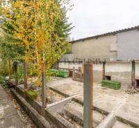 NA PREDAJ 4 IZBOVÝ RD S VEĽKÝM POZEMKOM,VEĽKÉ DVORNÍKY - Jesenná záhrada pri rodinnom dome vo Veľkých Dvorníkoch s farebným lístím na stromoch.