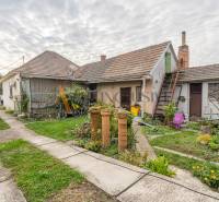 NA PREDAJ 4 IZBOVÝ RD S VEĽKÝM POZEMKOM,VEĽKÉ DVORNÍKY - Dvor rodinného domu vo Veľkých Dvorníkoch s trávnikom, rastlinami a budovami.