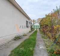 NA PREDAJ 4 IZBOVÝ RD S VEĽKÝM POZEMKOM,VEĽKÉ DVORNÍKY - Chodník vedie pozdĺž rodinného domu vo Veľkých Dvorníkoch so záhradou plnou rastlín.