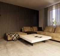 NA PREDAJ DVOJDOM (2× 3-IZBOVÉ DOMY), ZEMIANSKÁ OLČA - Pohodlná obývačka v rodinnom dome s béžovou pohovkou a rastlinou v kvetináči.