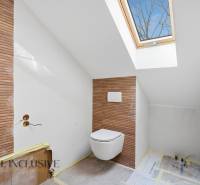 NA PREDAJ 4-IZBOVÉ RD – REZIDENČNÝ PROJEKT, GABČÍKOVO - Kúpeľňa v rodinnom dome s podlahou s dreveným dekorom a strešným oknom.