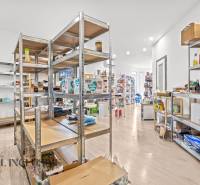 NA PREDAJ NEBYTOVÝ PRIESTOR V DUNAJSKEJ STREDE - Obchodné priestory so skladmi a regálmi, podlaha s dreveným dekorom, rôzne produkty.