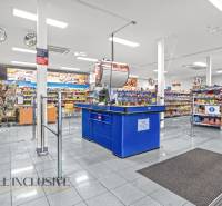 NA PRENÁJOM OBCHODNÝ PRIESTOR V DUNAJSKEJ STREDE - Interiér obchodných priestorov s rôznymi produktmi, pokladňou a nákupnými košíkmi.