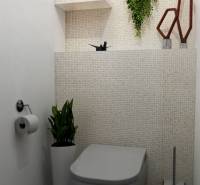 NA PREDAJ 3-IZBOVÝ RD (ČASŤ DVOJDOMU), ZEMIANSKA OLČA - Toaleta v rodinnom dome s rastlinami, dekoračnými prvkami a obkladom stien.