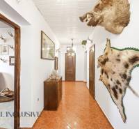 Na predaj 3-izbový rodinný dom, Topoľníky - Interiér rodinného domu s rustikálnym dekorom a poľovníckymi trofejami na stenách.