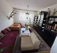 Nadštandardný 4-izbový tehlový byt po kompletnej Sahy - Obývacia izba s pohovkou, kreslami, policami, rastlinami a dekoráciou v 4-izbovom byte.