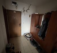 Nadštandardný 4-izbový tehlový byt po kompletnej Sahy - Predsieň v 4-izbovom byte s vešiakmi, psím pelechom a dekoratívnymi parožím na stene.