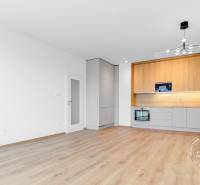 2-izbový byt, NOVÝ, veľkorysý ÚLOŽNÝ PRIESTOR, PARKOVANIE - Kuchyňa a podlaha s dreveným dekorom v 2-izbovom byte.