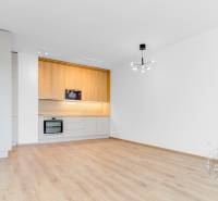 2-izbový byt, NOVÝ, veľkorysý ÚLOŽNÝ PRIESTOR, PARKOVANIE - Kuchyňa s podlahou s dreveným dekorom v 2-izbovom byte, biely strop, moderné osvetlenie.