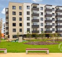 2-izbový byt, NOVÝ, veľkorysý ÚLOŽNÝ PRIESTOR, PARKOVANIE - Na obrázku sú obytné budovy s balkónmi, trávnatá plocha a lavičky na ulici Františka Kubu.