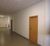 MASARYKOVA: Nebytové priestory 30 m2 - 3.posch., VÝŤAH, parkovanie - Chodba v kancelárii so svetlou podlahou, bielymi stenami a dverami z dreveného dekoru.