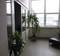MASARYKOVA: Nebytové priestory 30 m2 - 3.posch., VÝŤAH, parkovanie - Kancelária s rastlinami a kreslom; veľké okno umožňuje prirodzené osvetlenie.