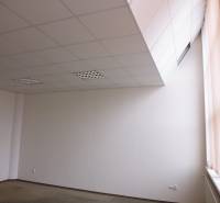 MASARYKOVA: Nebytové priestory 30 m2 - 3.posch., VÝŤAH, parkovanie - Priestranná kancelária s podlahou s dreveným dekorom a veľkým oknom, vhodná na prácu.