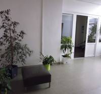 MASARYKOVA: Nebytové priestory 30 m2 - 3.posch., VÝŤAH, parkovanie - Kancelárie s rastlinami, svetlými stenami a bielymi dverami.