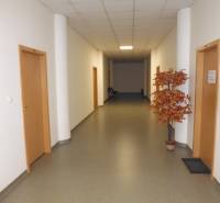 MASARYKOVA: Nebytové priestory 30 m2 - 3.posch., VÝŤAH, parkovanie - Chodba s umelým stromčekom a drevenými dverami v kanceláriách.