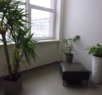 MASARYKOVA: Nebytové priestory 36 m2 - 3.posch., VÝŤAH, parkovanie - Kancelárie s rastlinami, kreslom a veľkým oknom, podlaha s dekorom.