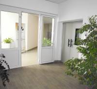 MASARYKOVA: Nebytové priestory 36 m2 - 3.posch., VÝŤAH, parkovanie - Kancelárie s bielymi dverami a kvetináčmi. Podlaha s dreveným dekorom.