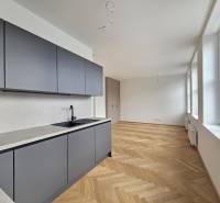 VÝNIMOČNÝ APARTMÁN priamo v centra mesta - projekt UNO Poštová - Kuchyňa v 1-izbovom byte s podlahou s dreveným dekorom a veľkými oknami.