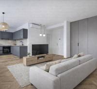 VÝNIMOČNÝ APARTMÁN priamo v centra mesta - projekt UNO Poštová - Kuchyňa v 1-izbovom byte s podlahou s dreveným dekorom a sivými skrinkami.