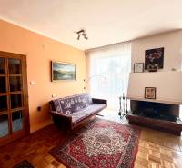 RD 4 izbový na veľkorysom pozemku, Ivanka pri Dunaji - Obývacia izba v rodinnom dome s krbom, pohovkou a podlahou s dreveným dekorom.