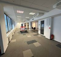 Kancelársky priestor 205 m2 v centre BA za rozumnú cenu - Kancelárie s kobercovou podlahou a veľkými oknami, bez nábytku.