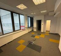 Kancelársky priestor 205 m2 v centre BA za rozumnú cenu - Kancelárie s veľkými oknami a kobercovými dlaždicami v odtieňoch na Cintorínskej ulici.