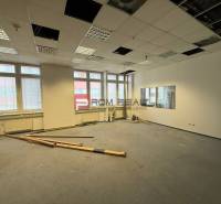 Priestor podľa vašich potrieb 120 m2 v úplnom centre BA - Svetlá kancelária s veľkými oknami a rozoberaným stropom.